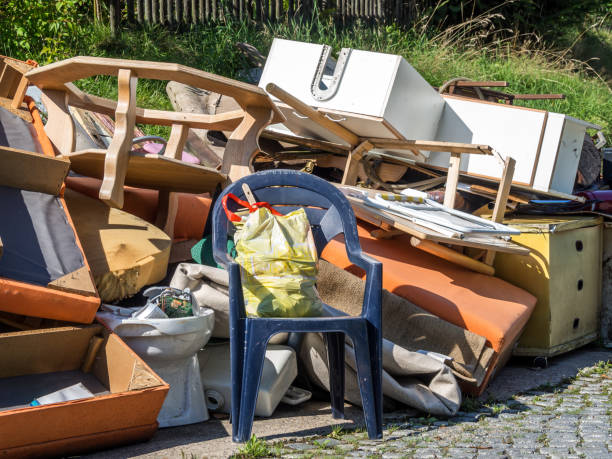 Best Electronics Removal Services  in Roanoke, IN