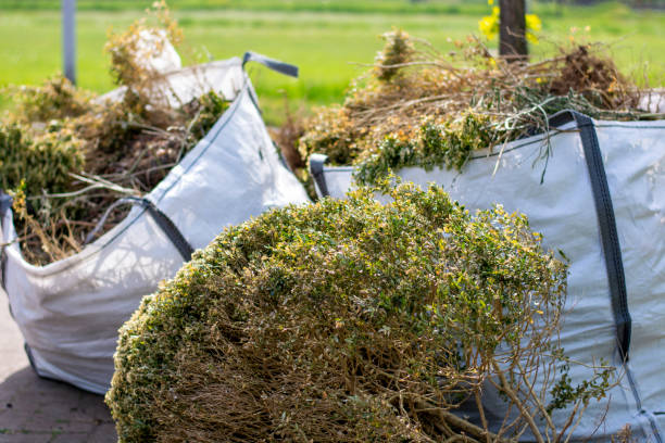 Best Office Junk Removal  in Roanoke, IN